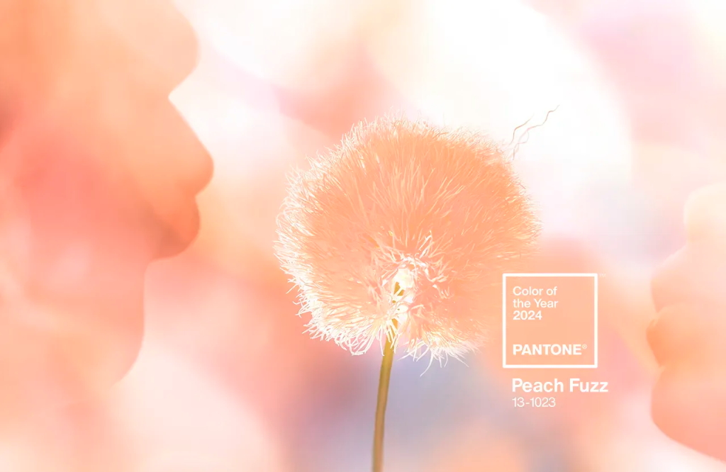 pantone-color-of-the-year-2024-peach-fuzz
