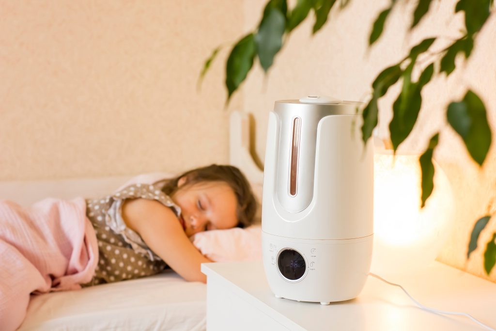 Humidificador para evitar el moho